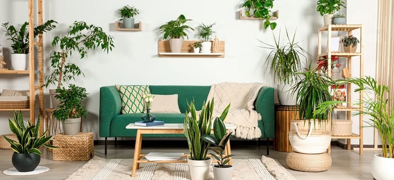 Match Plants to Your Home’s Style