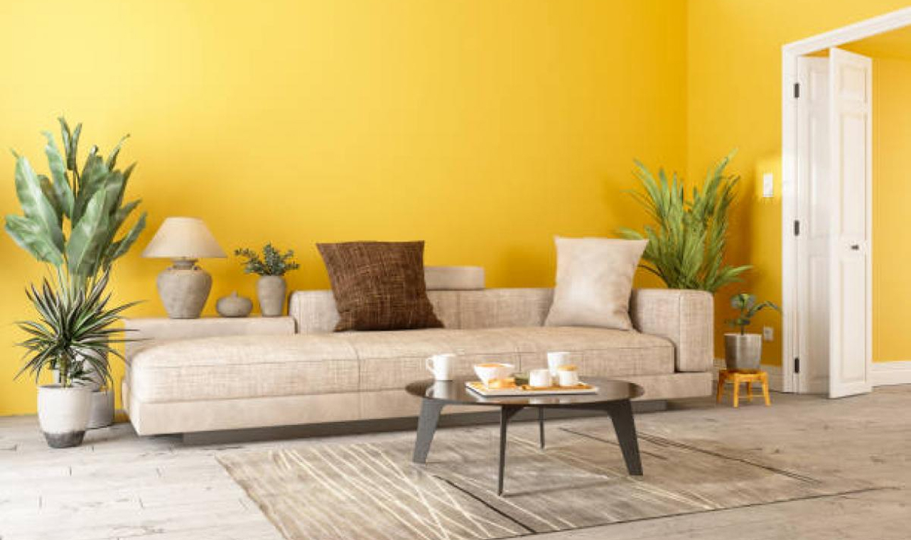 Light Yellow Walls for a Bright Boost